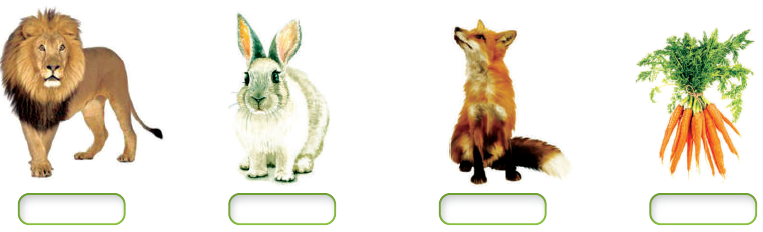 تكوين سلسلة غذائية توضح انتقال الطاقة تكوين سلسلة غذائية توضح انتقال الطاقة